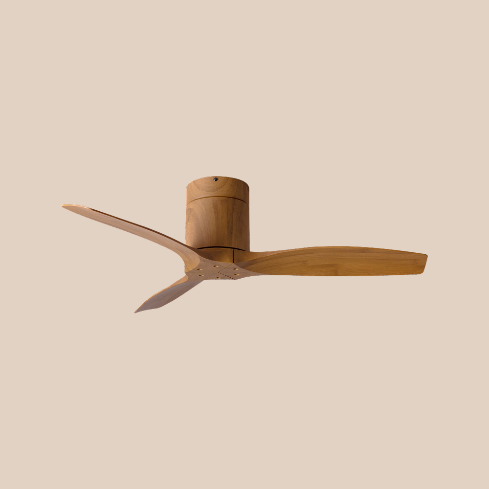 SIGNATURE Collection